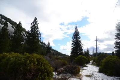 DSC_2915 (Large).JPG